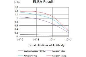 Black line: Control Antigen (100 ng),Purple line: Antigen (10 ng), Blue line: Antigen (50 ng), Red line:Antigen (100 ng) (CD39 抗体  (AA 38-179))