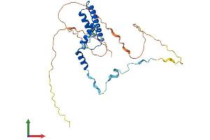 AlphaFold protein structure predicition of Mouse Recombinant Taf9 Protein, UniprotID Q8VI33