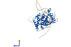 Protein Structure (PS) image for Protein Tyrosine Phosphatase, Non-Receptor Type 20B (PTPN20B) (AA 1-420) protein (His tag) (ABIN7551089)
