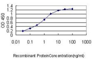 Detection limit for recombinant GST tagged FLNA is approximately 0. (Filamin A 抗体  (AA 1-838))