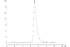 Size-exclusion chromatography-High Pressure Liquid Chromatography (SEC-HPLC) image for MHC Class I Polypeptide-Related Sequence A (MICA) (AA 24-308) protein (His-Avi Tag,Biotin) (ABIN7275256)