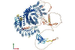 AlphaFold protein structure predicition of Human Recombinant TONSL Protein, UniprotID Q96HA7