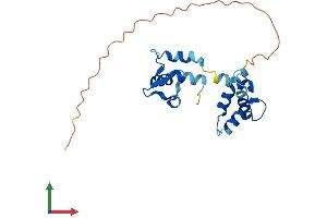 AlphaFold protein structure predicition of Mouse Recombinant Myl10 Protein, UniprotID Q62082 (MYL10 Protein (AA 1-202) (His tag))