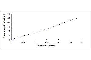 Typical standard curve (MYH11 ELISA 试剂盒)