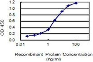 Detection limit for recombinant GST tagged FAM44A is 0. (BOD1L1 抗体  (AA 1-284))