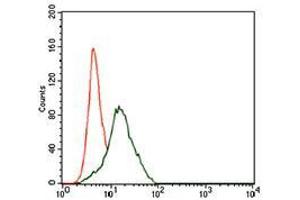 Flow cytometric analysis of HepG2 cells using FZD5 mouse mAb (green) and negative control (red). (FZD5 抗体  (AA 151-217))