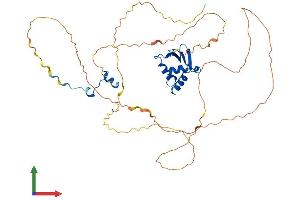 AlphaFold protein structure predicition of Mouse Recombinant Elk1 Protein, UniprotID P41969