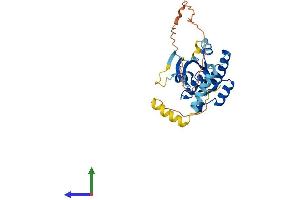 Protein Structure (PS) image for GTP Binding Protein Overexpressed in Skeletal Muscle (GEM) (AA 1-296) protein (His tag) (ABIN7547940)