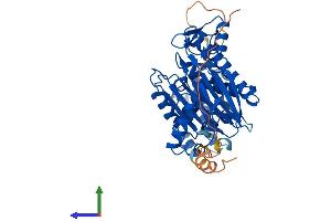 AlphaFold protein structure predicition of Mouse Recombinant Ppm1f Protein, UniprotID Q8CGA0 (PPM1F Protein (AA 1-452) (His tag))