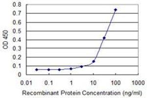 Detection limit for recombinant GST tagged PCAF is approximately 10ng/ml as a capture antibody. (KAT2B 抗体  (AA 353-452))