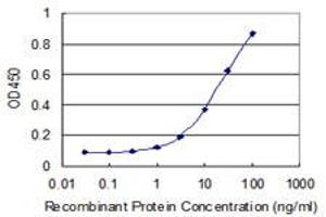 Detection limit for recombinant GST tagged POLR2J2 is 0. (POLR2J2 抗体  (AA 1-115))