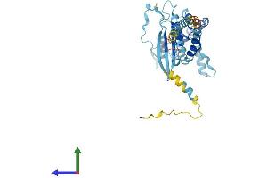 Protein Structure (PS) image for Septin 2 (SEPT2) (AA 1-361) protein (His tag) (ABIN7555438)