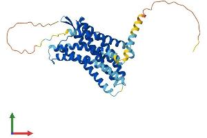 Protein Structure (PS) image for Chemokine (C-X-C Motif) Receptor 4 (CXCR4) (AA 1-352) protein (His tag) (ABIN7553587)