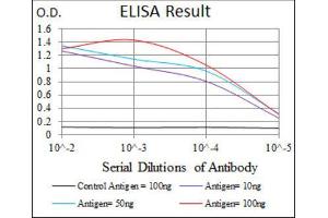 ELISA image for anti-Sequestosome 1 (SQSTM1) (AA 232-356) antibody (ABIN1846090) (SQSTM1 抗体  (AA 232-356))