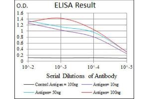 ELISA image for anti-Sequestosome 1 (SQSTM1) (AA 232-356) antibody (ABIN1846090)