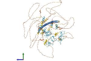 Protein Structure (PS) image for Zinc Finger Protein 387 (ZNF387) (AA 1-1045) protein (His tag) (ABIN7564244)