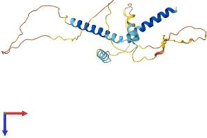 AlphaFold protein structure predicition of Human Recombinant IER2 Protein, UniprotID Q9BTL4 (IER2 Protein (AA 1-223) (His tag))