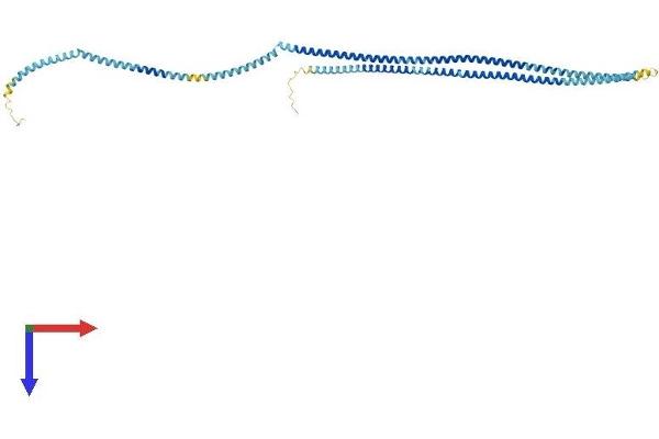 TCHP Protein (AA 1-498) (His tag)
