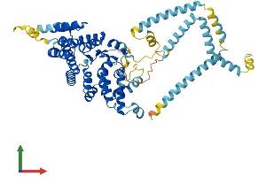 Protein Structure (PS) image for Suppression of Tumorigenicity 7 (ST7) (AA 1-577) protein (His tag) (ABIN7560399)
