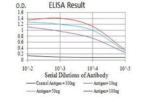 Black line: Control Antigen (100 ng),Purple line: Antigen (10 ng), Blue line: Antigen (50 ng), Red line:Antigen (100 ng) (AFAP1L2 抗体  (AA 674-818))
