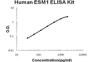 Human ESM1/Endocan PicoKine ELISA Kit standard curve (ESM1 ELISA 试剂盒)