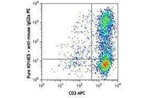 Flow Cytometry (FACS) image for anti-Chemokine (C-X-C Motif) Receptor 6 (CXCR6) antibody (ABIN2664320) (CXCR6 抗体)