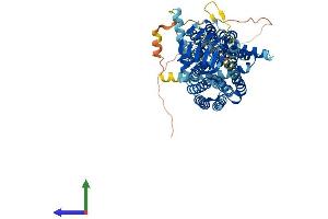 Protein Structure (PS) image for Synaptic Vesicle Glycoprotein 2B (SV2B) (AA 1-683) protein (His tag) (ABIN7544053)