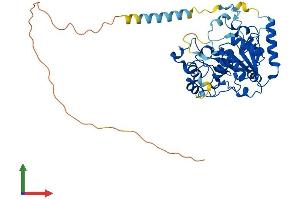 Protein Structure (PS) image for ST3 beta-Galactoside alpha-2,3-Sialyltransferase 5 (ST3GAL5) (AA 1-418) protein (His tag) (ABIN7546057)