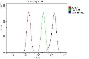 Flow Cytometry analysis of A549 cells using anti-TLR1 antibody (ABIN7602194).