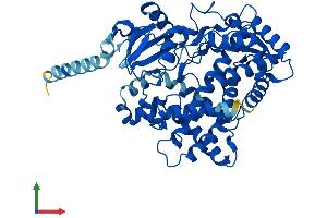 Protein Structure (PS) image for Cytochrome P450, Family 2, Subfamily D, Polypeptide 6 (CYP2D6) (AA 1-497) protein (His tag) (ABIN7546671)