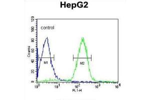 Flow Cytometry (FACS) image for anti-Orosomucoid 1 (ORM1) antibody (ABIN3002674)