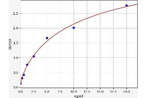 Typical standard curve (Septin 7 ELISA 试剂盒)