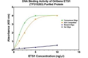 Bioactivity measured with Activity Assay