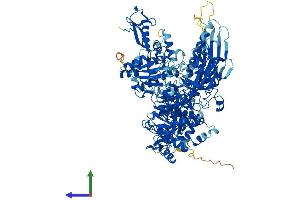 AlphaFold protein structure predicition of Human Recombinant POLR2B Protein, UniprotID P30876
