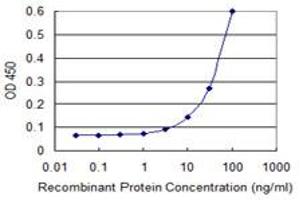 Detection limit for recombinant GST tagged CLIC1 is 3 ng/ml as a capture antibody. (CLIC1 抗体  (AA 1-241))
