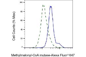 Validation of Methylmalonyl-CoA mutase knockdown using flow cytometry. (Recombinant MUT 抗体)