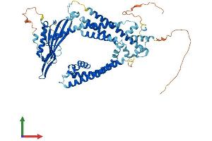 Protein Structure (PS) image for Mucolipin 1 (MCOLN1) (AA 1-580) protein (His tag) (ABIN7560295)
