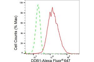 Flow cytometric analysis of DDB1 expression in HepG2 cells using DDB1 antibody (ABIN7798273), 1:2,000). (Recombinant DDB1 抗体)