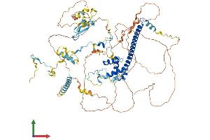 AlphaFold protein structure predicition of Mouse Recombinant Epc1 Protein, UniprotID Q8C9X6