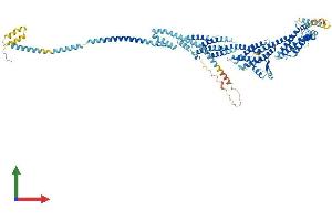 Protein Structure (PS) image for Exocyst Complex Component 6 (EXOC6) (AA 1-802) protein (His tag) (ABIN7564695)