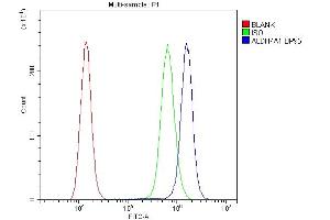 Flow Cytometry analysis of A431 cells using anti-ALDH7A1 antibody (ABIN4886452).
