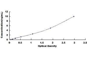 Typical standard curve (ST6GAL1 ELISA 试剂盒)