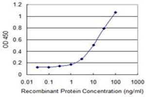 Detection limit for recombinant GST tagged SUSD5 is 0. (SUSD5 抗体  (AA 284-383))