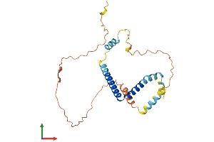 AlphaFold protein structure predicition of Human Recombinant EID2 Protein, UniprotID Q8N6I1