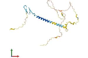 AlphaFold protein structure predicition of Human Recombinant WBP1 Protein, UniprotID Q96G27