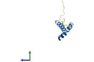 Protein Structure (PS) image for Catenin, beta Interacting Protein 1 (CTNNBIP1) (AA 1-81) protein (Fc Tag) (ABIN7561596)