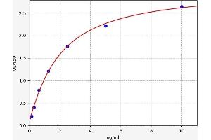 ADAMTS5 ELISA 试剂盒