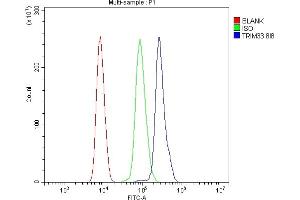 Flow Cytometry analysis of HL-60 cells using anti- TIF1 gamma/TRIM33 antibody (ABIN7599621). (TRIM33 抗体  (AA 1001-1127))