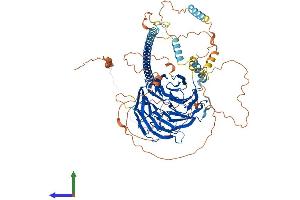 Protein Structure (PS) image for Striatin, Calmodulin Binding Protein 3 (STRN3) (AA 1-796) protein (His tag) (ABIN7561435)