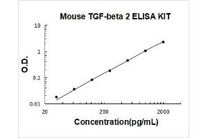 Transforming Growth Factor, beta 2 (TGFB2) ELISA Kit